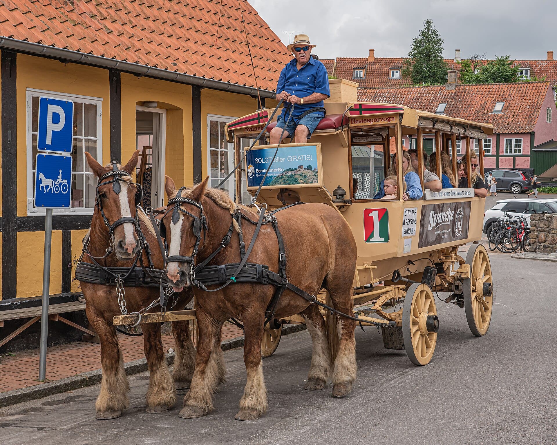 Horse-drawn carriage ride